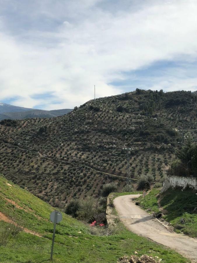 Casa De La Canada - Piso Completo Carchelejo Dış mekan fotoğraf