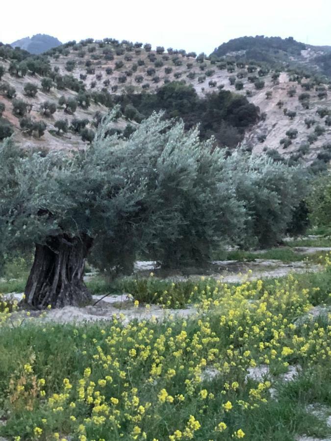 Casa De La Canada - Piso Completo Carchelejo Dış mekan fotoğraf